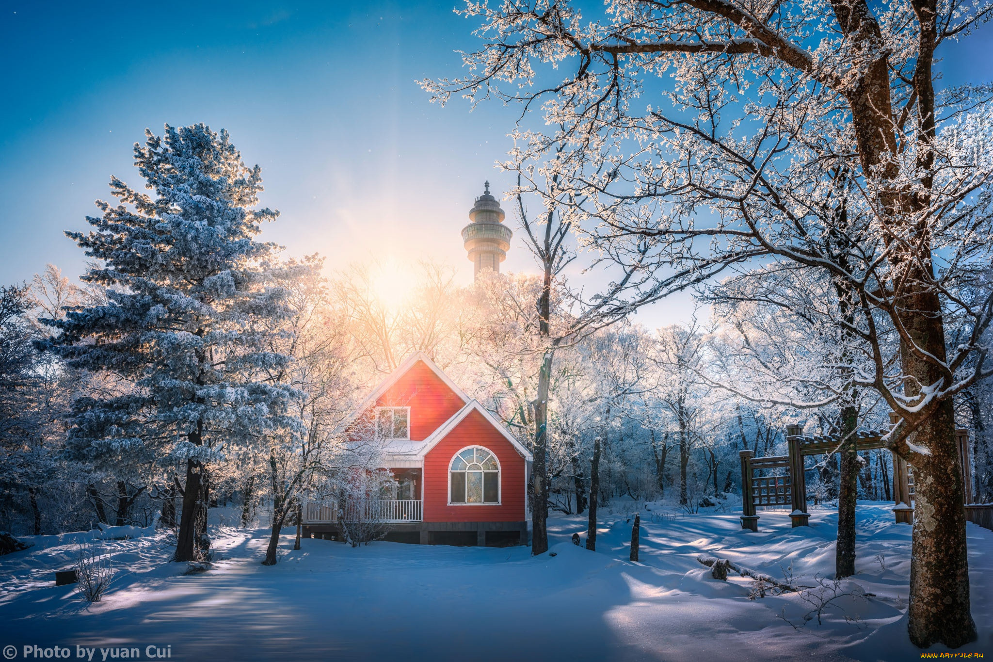 ������, - ������,  ����, ����, ����